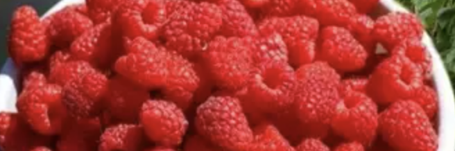 CleanEatingDaily Banner